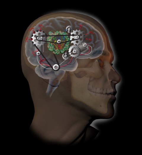 Brain as machine illustration